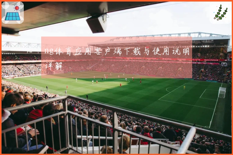 ng体育应用客户端下载与使用说明详解