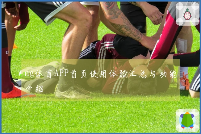 ng体育APP首页使用体验汇总与功能介绍