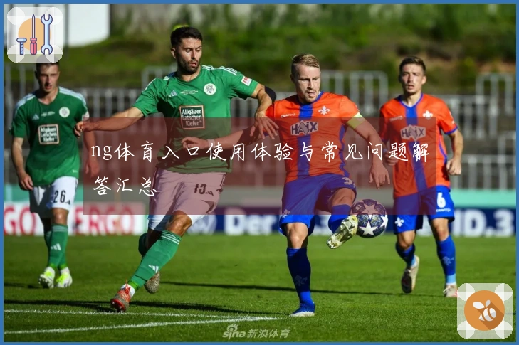 ng体育入口使用体验与常见问题解答汇总