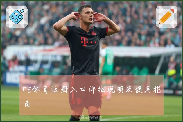 ng体育注册入口详细说明及使用指南