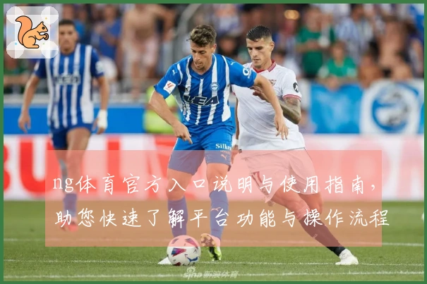 ng体育官方入口说明与使用指南，助您快速了解平台功能与操作流程