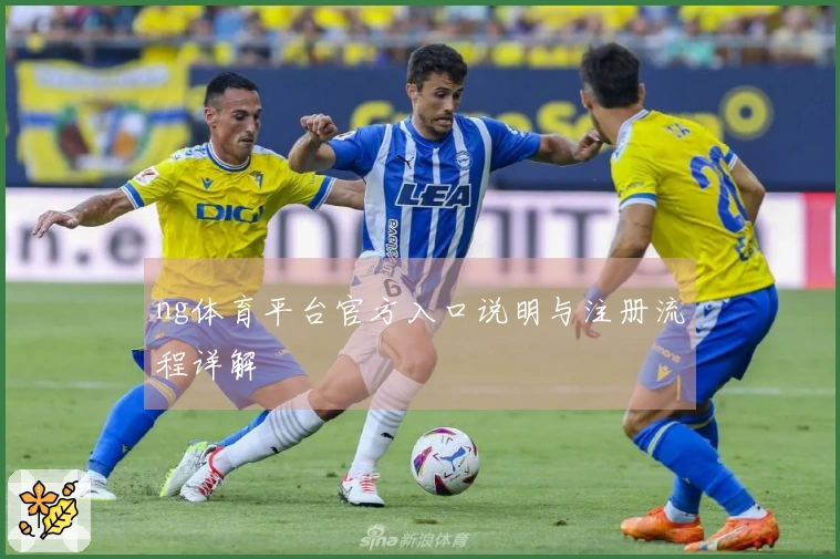 ng体育平台官方入口说明与注册流程详解
