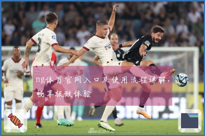 ng体育官网入口及使用流程详解，畅享极致体验