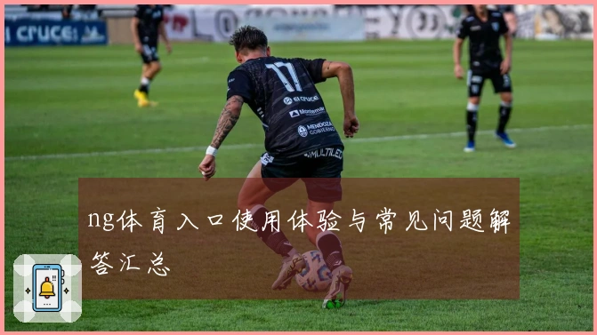 ng体育入口使用体验与常见问题解答汇总